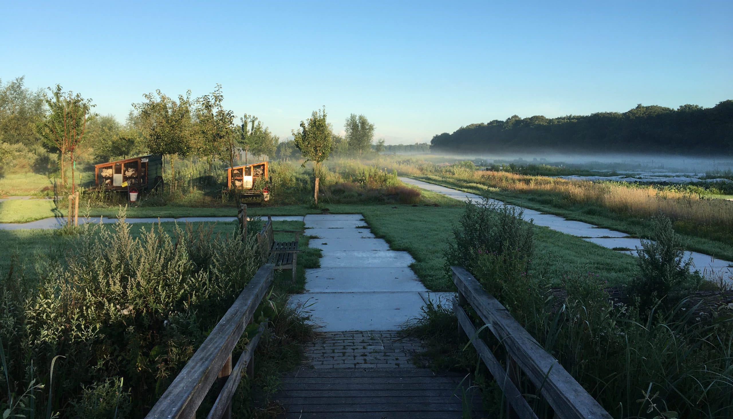 De Buitenhof van de Beukenhof, Loosdrecht, brug met uitzicht op boomgaard met kipmobielen en in de verte de bloementuin, gehuld in mist