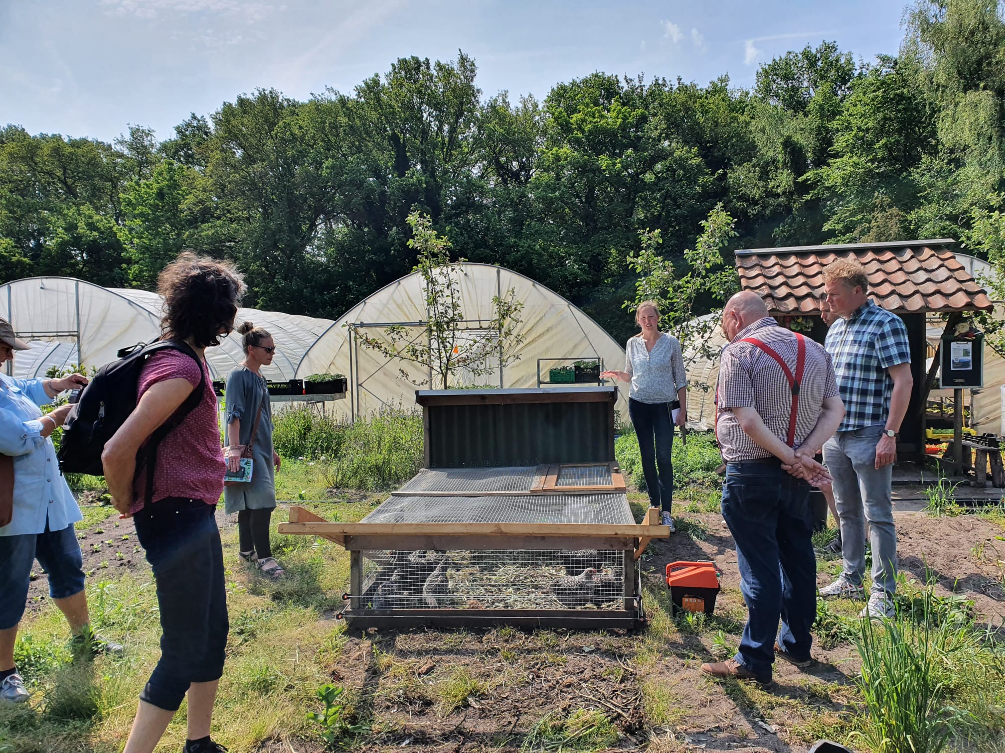 cursus natuurlijk kippen houden chicken tractor vleeshaantjes mobiel tuinderij vruchtwisseling kringloop neventak 