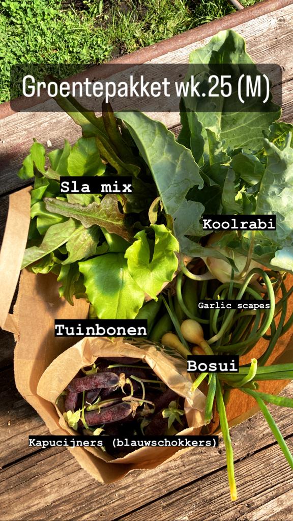 Boerderijpakket + haantje(s) 2026 - Afbeelding 12