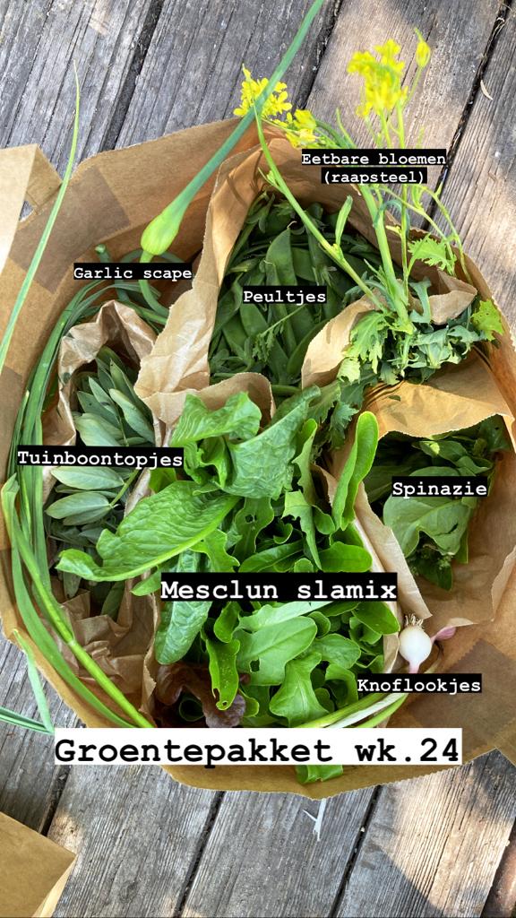 Boerderijpakket + haantje(s) 2026 - Afbeelding 3