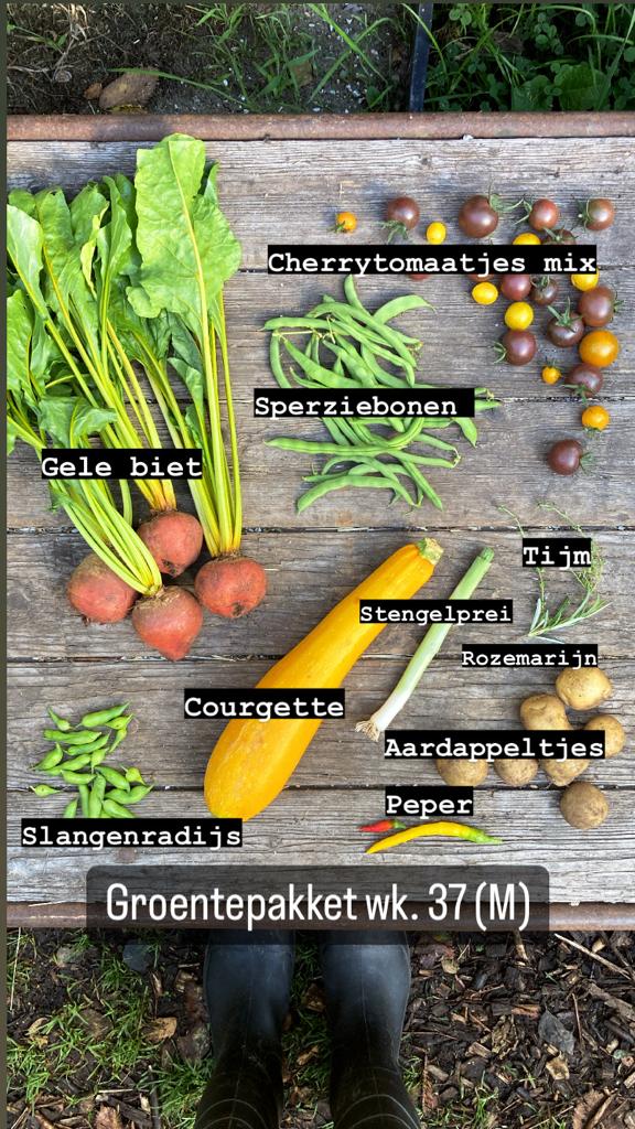Boerderijpakket + haantje(s) 2026 - Afbeelding 7