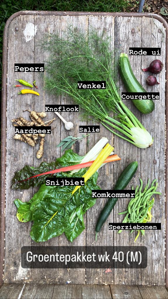 Boerderijpakket + haantje(s) 2026 - Afbeelding 6