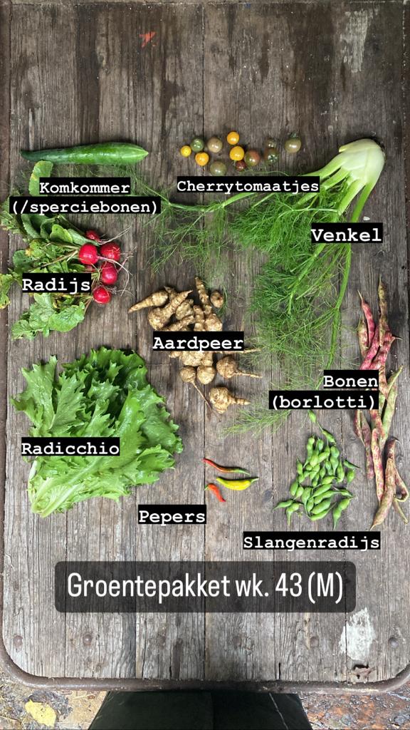 Boerderijpakket + haantje(s) 2026 - Afbeelding 2