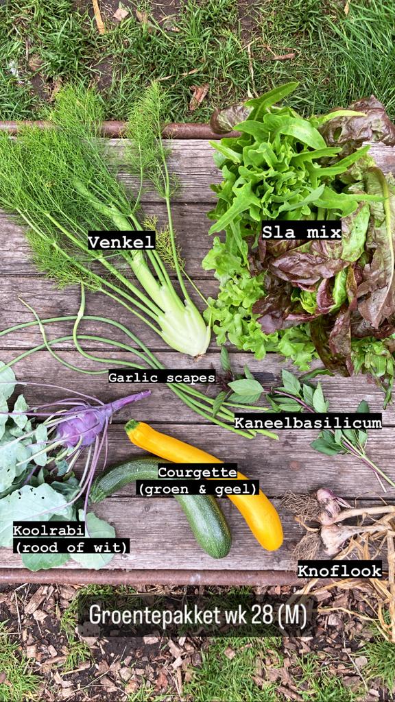 Boerderijpakket + haantje(s) 2026 - Afbeelding 10