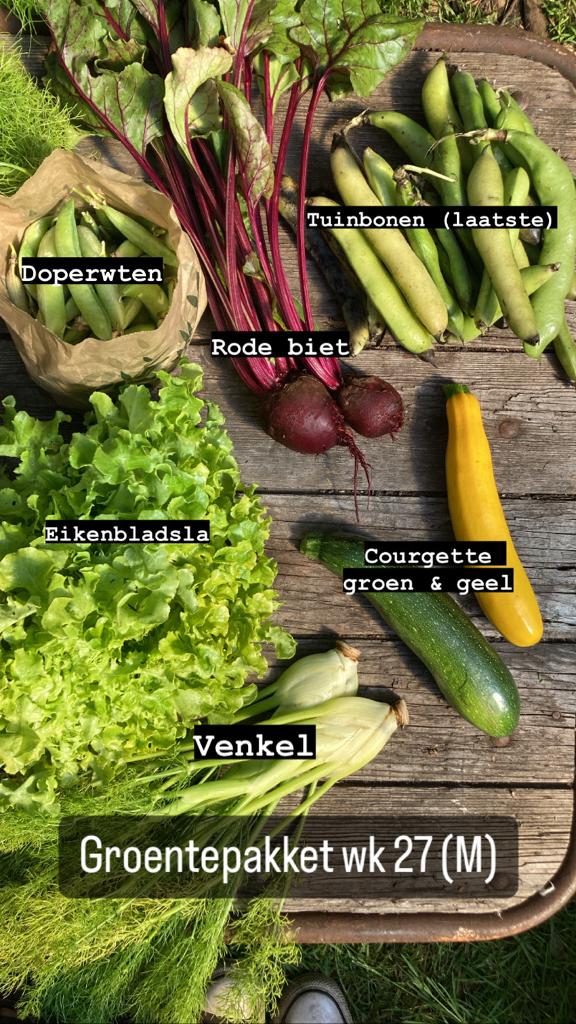 Boerderijpakket + haantje(s) 2026 - Afbeelding 11