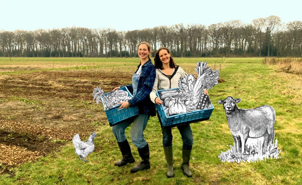 Regeneratieve landbouw, enthousiaste vrouwen met kratten vol groente, eieren, fruit, op het land naast de no-dig tuinderij, moestuin, naast de veenweide, met schaap en kip