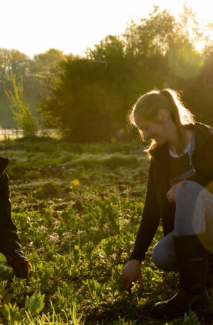 Mini-cursus Regeneratieve Landbouw