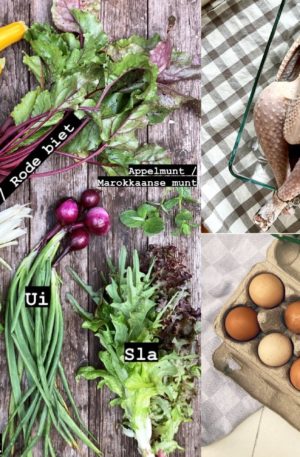 Boerderijpakket + haantje(s) 2026